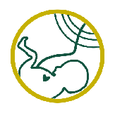 Logo-verloskundigenpraktijk-Hellevoetsluis-1-vector-favicon